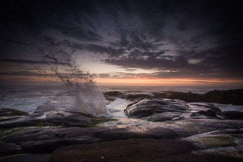 ©Shireen Nadir 2014