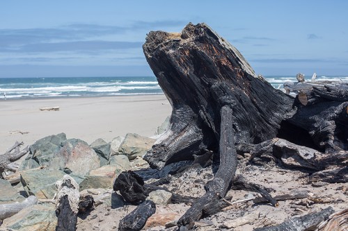 ©Shireen Nadir 2014