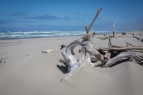 ©Shireen Nadir 2014