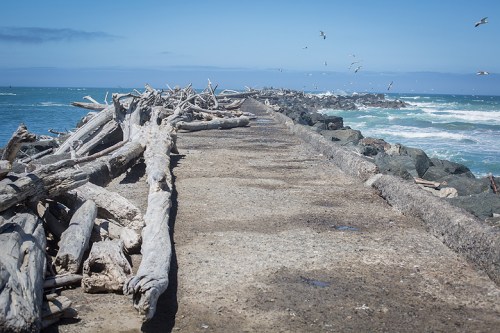 ©Shireen Nadir 2014