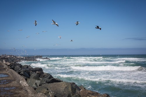 ©Shireen Nadir 2014