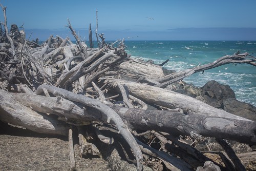 ©Shireen Nadir 2014