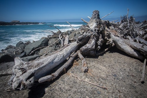 ©Shireen Nadir 2014