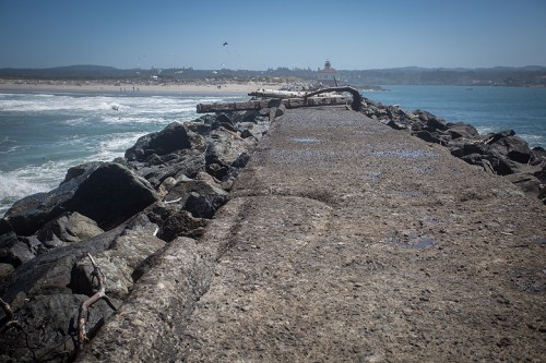 ©Shireen Nadir 2014