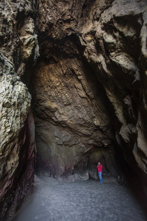 ©Shireen Nadir 2014