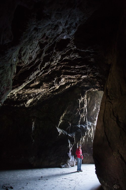 ©Shireen Nadir 2014