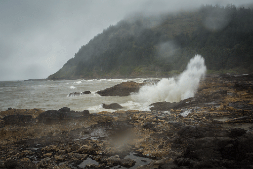 Cape Perpetua ©Shireen Nadir 2014
