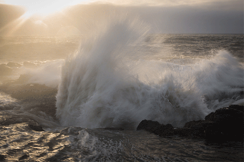Cape Perpetua ©Shireen Nadir 2014