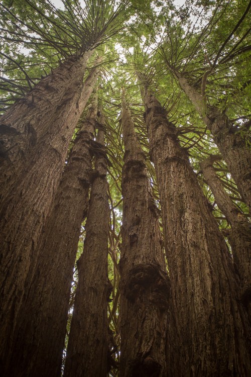 ©Shireen Nadir 2014