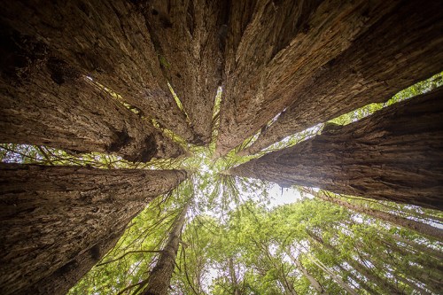 ©Shireen Nadir 2014