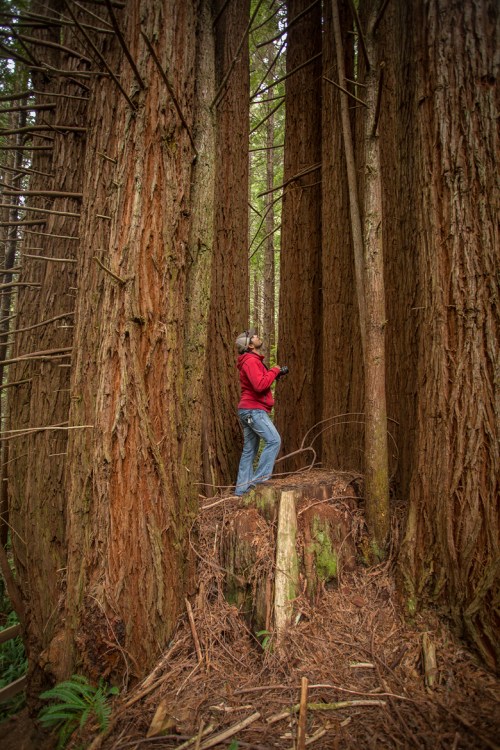 ©Shireen Nadir 2014