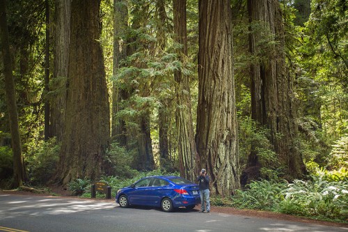 ©Shireen Nadir 2014