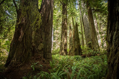 ©Shireen Nadir 2014