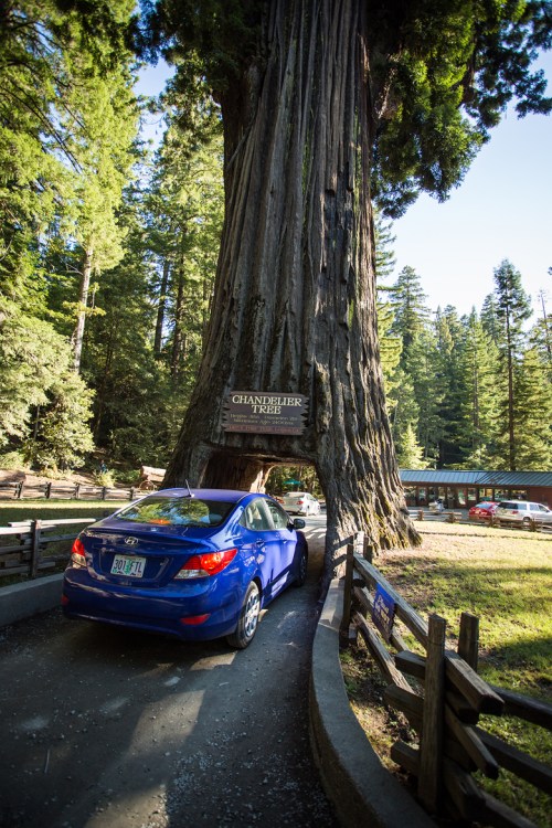 ©Shireen Nadir 2014