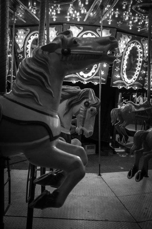 CNE ©Shireen Nadir 2014