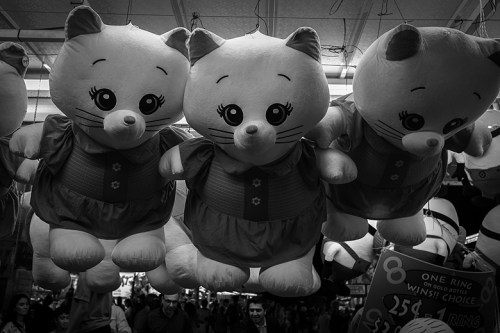 CNE ©Shireen Nadir 2014