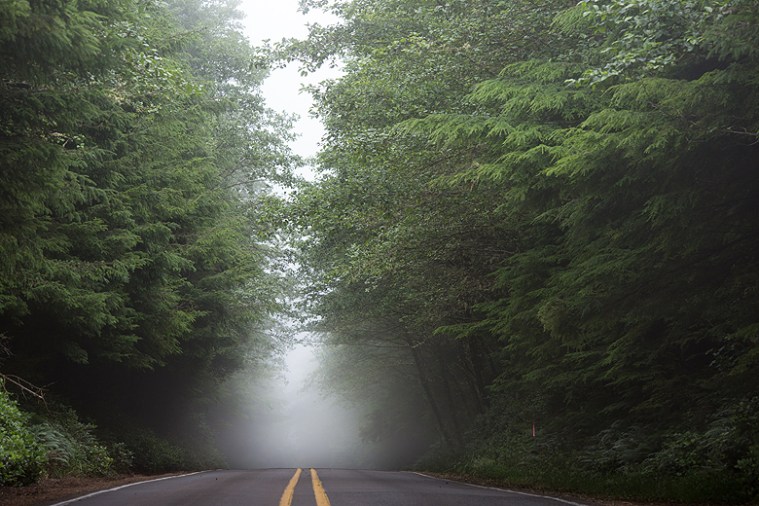 ©Shireen Nadir 2014