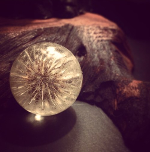 Resin Jewelry ©Shireen Nadir 2014