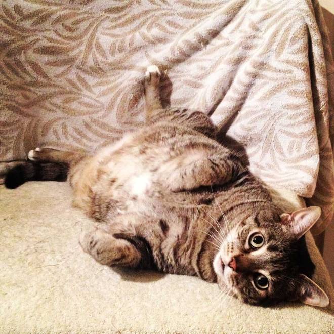 I found it like that. Honest.