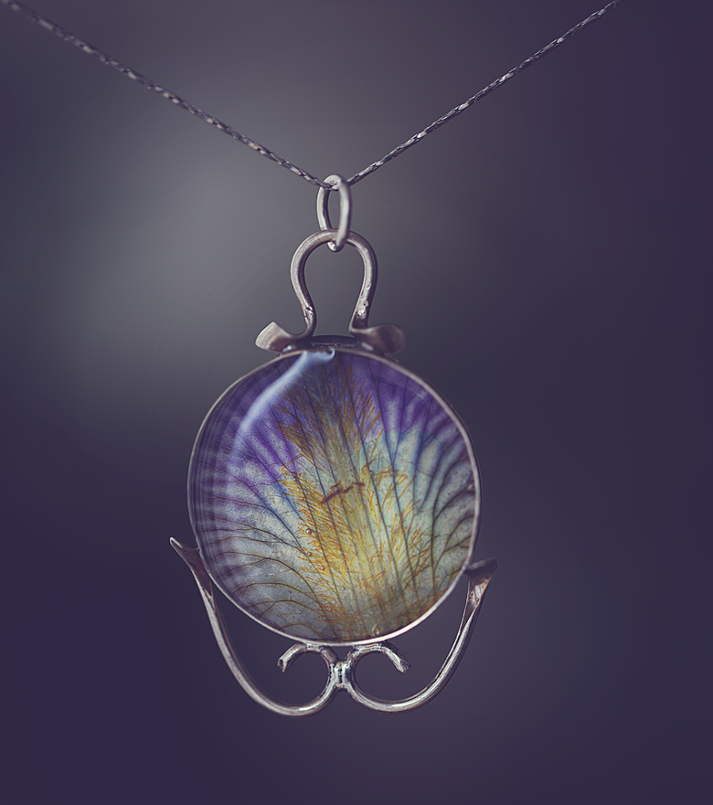 The Blood Moon & Mooning Cats