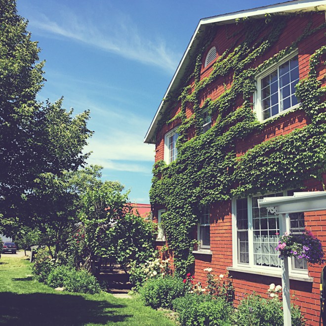 Sunday was projected to rain all day with afternoon thunderstorms, but it was pretty much like this all day long. 