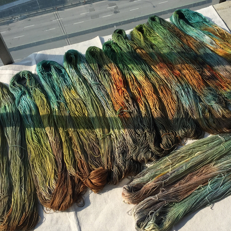 'Kim's Barn' dyelot, drying in the sun