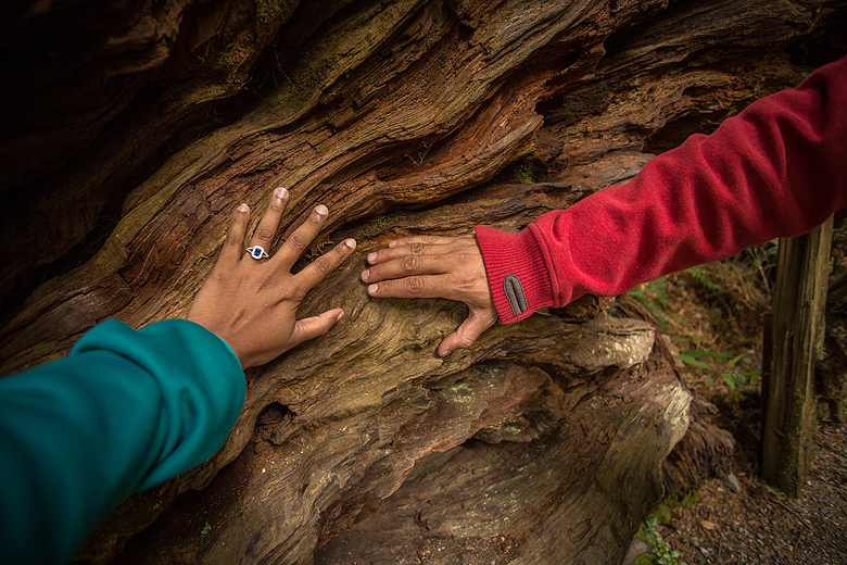 Wedding Bells <3&nbsp;<3