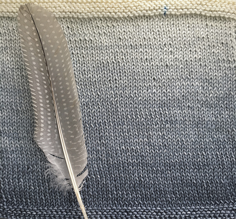 The Swatch Project –&nbsp;Feather