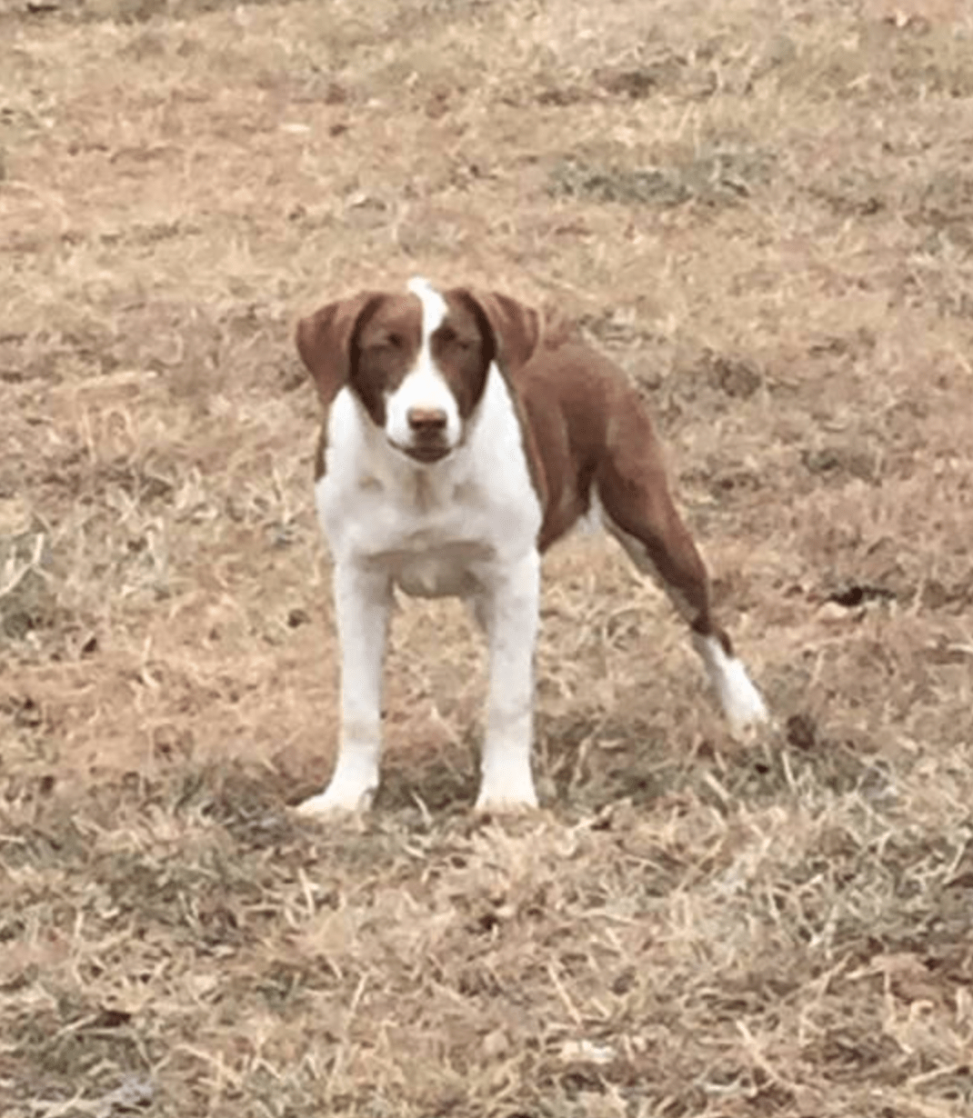 Screen Shot 2016-12-13 at 10.03.40 AM.png