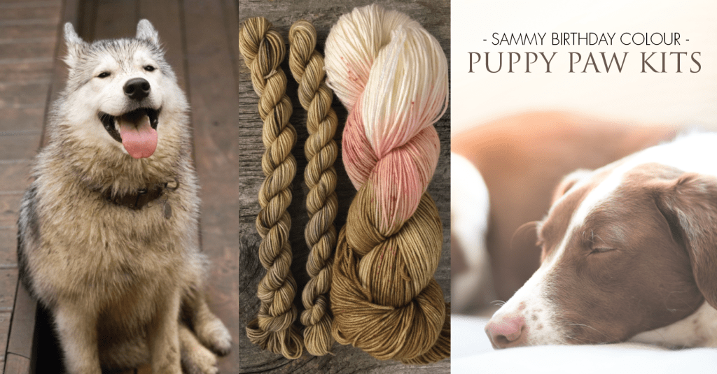 The Sammy Birthday&nbsp;Kit!